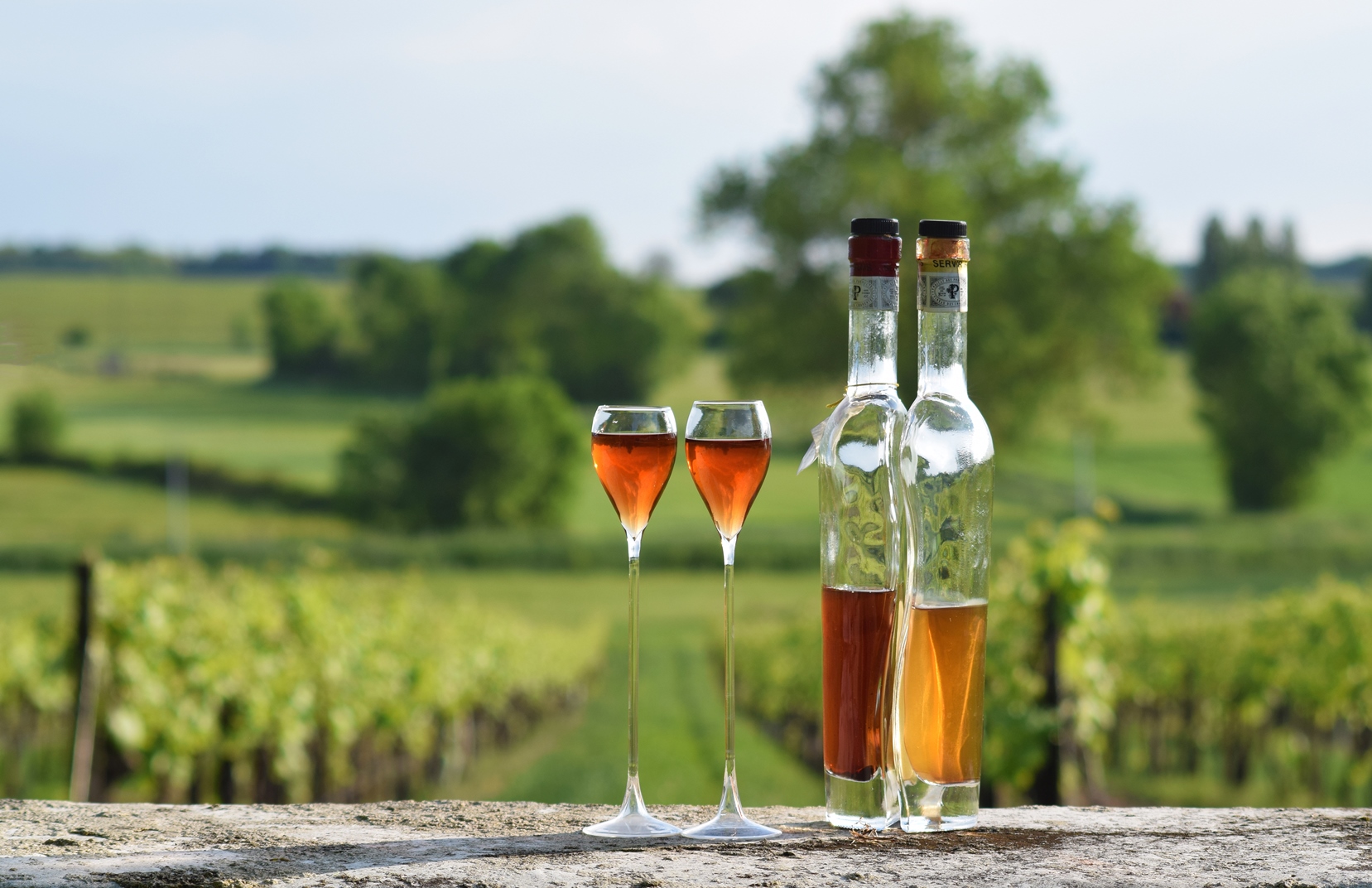 Pineau moment2 25 April 2020